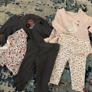 Floral and Swan Baby Outfit Set